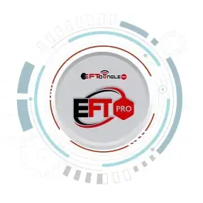 EFT Pro Tool Renew - 1 year - [ NEW USER ]   - [ WITHOUT DONGLE ] ⚡
